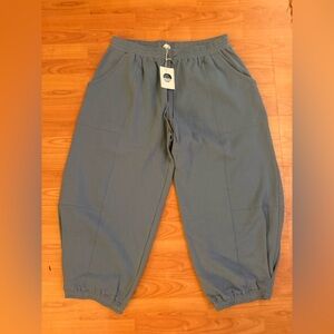 NWT Daily Practice Anthropologie Heather Joggers Size XL Blue Cozy